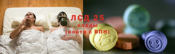 стаф Пересвет