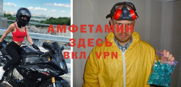 стаф Пересвет