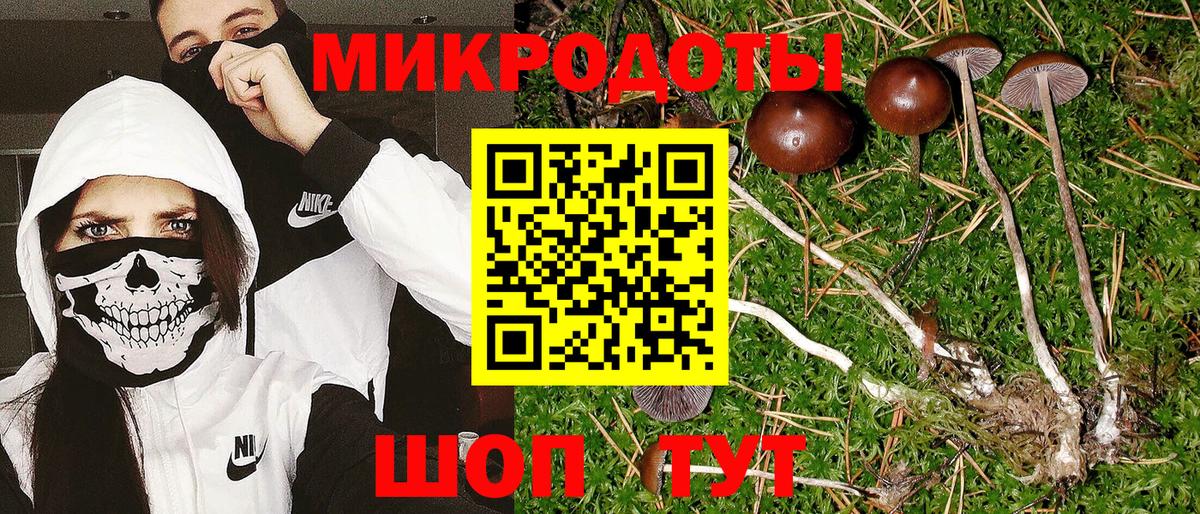 Галлюциногенные грибы Psilocybe  Вход с VPN  Родники  Галлюциногенные грибы MAGIC MUSHROOMS 